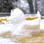 canard_neige.png