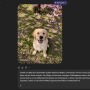 screenshot_2026-04-22_084555.png